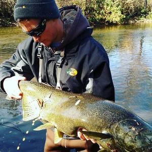 Meet your Posher, Nolan